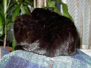 2005111161bfdf73.jpg